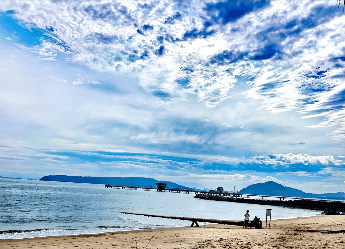 Odahama Beach with a uniquely shaped tree stretching toward the ocean, peaceful coastal scenery